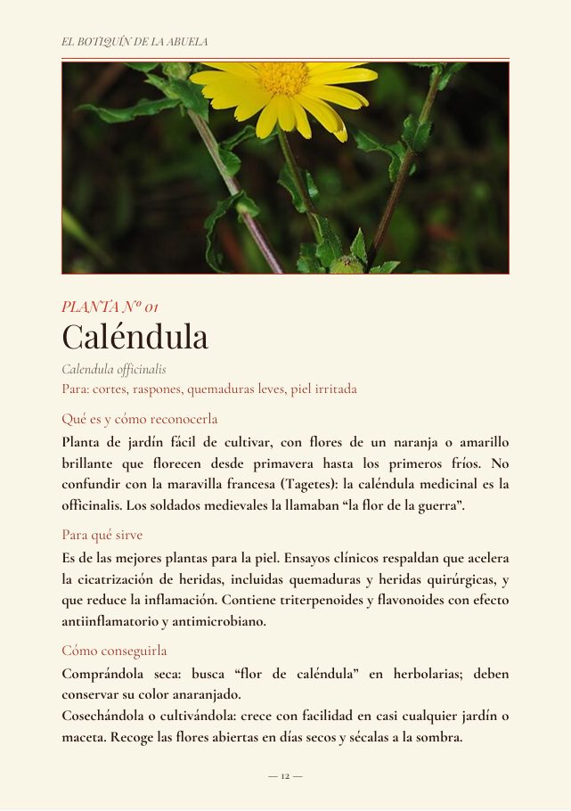 Ficha · Caléndula